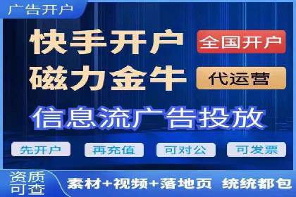 从小白到高手：百度竞价赚钱全记录